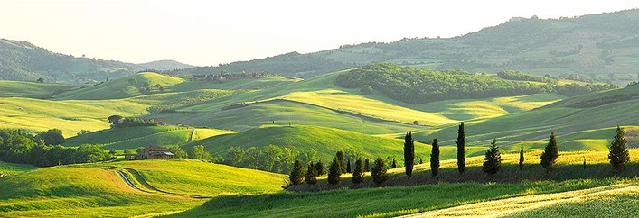 Monticelli