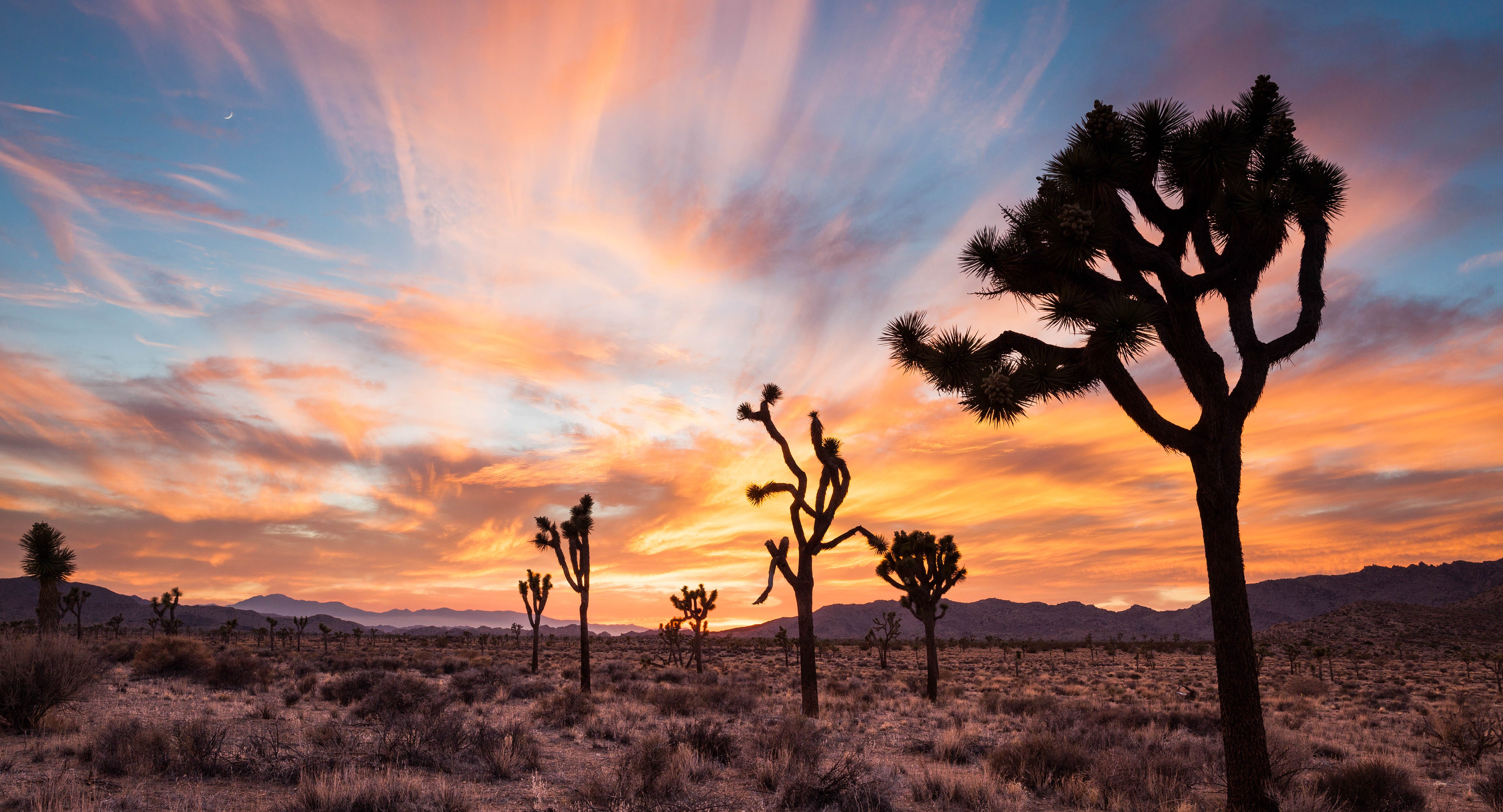 Palm Springs, Coachella Valley, California Inspirato Luxury Vacation