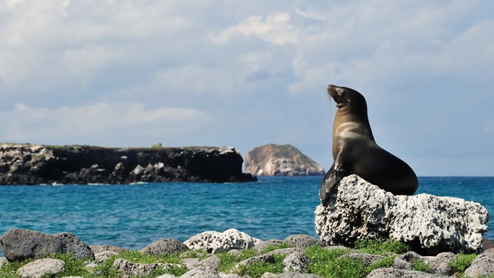 Galapagos Islands Expedition