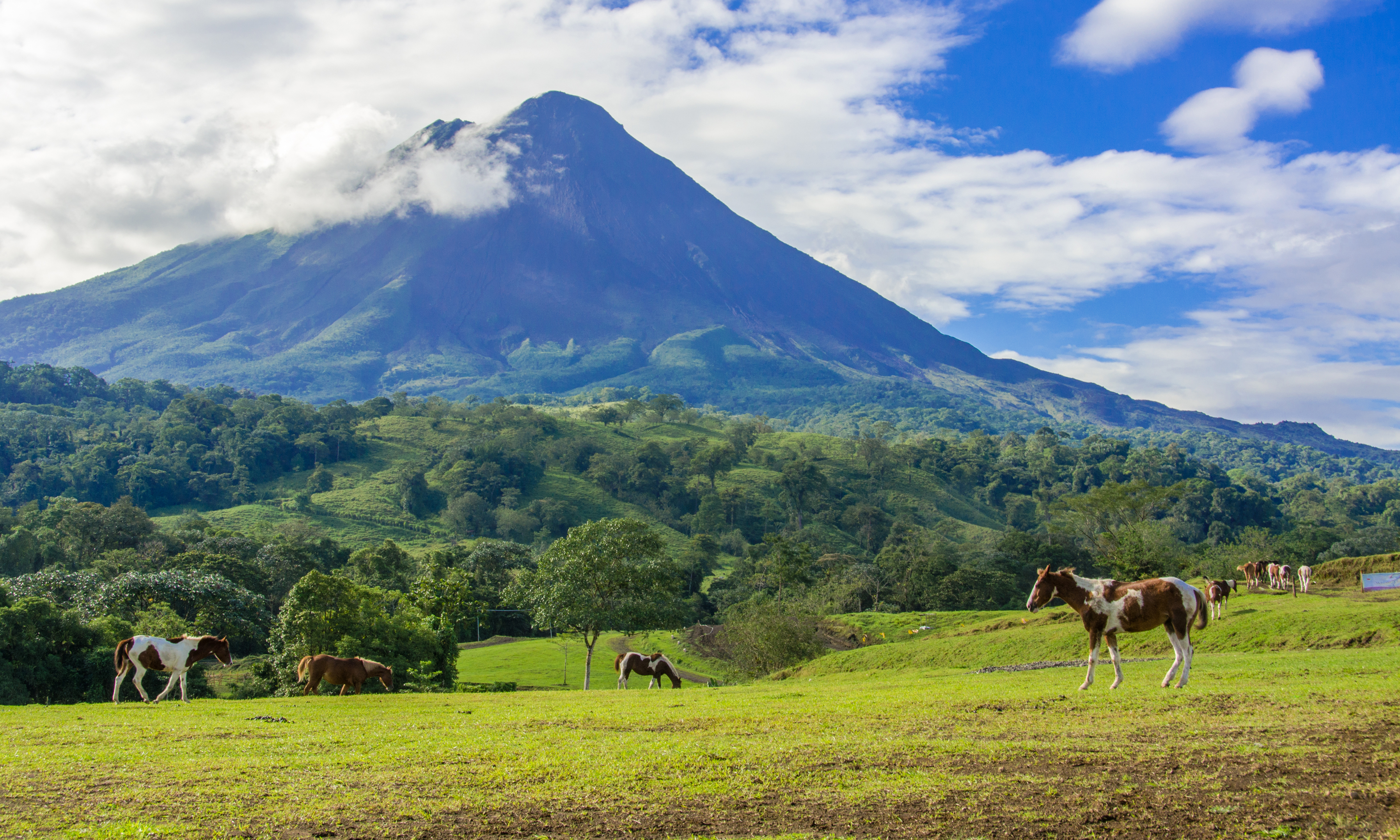 Arenal, Costa Rica Travel Guide | Inspirato