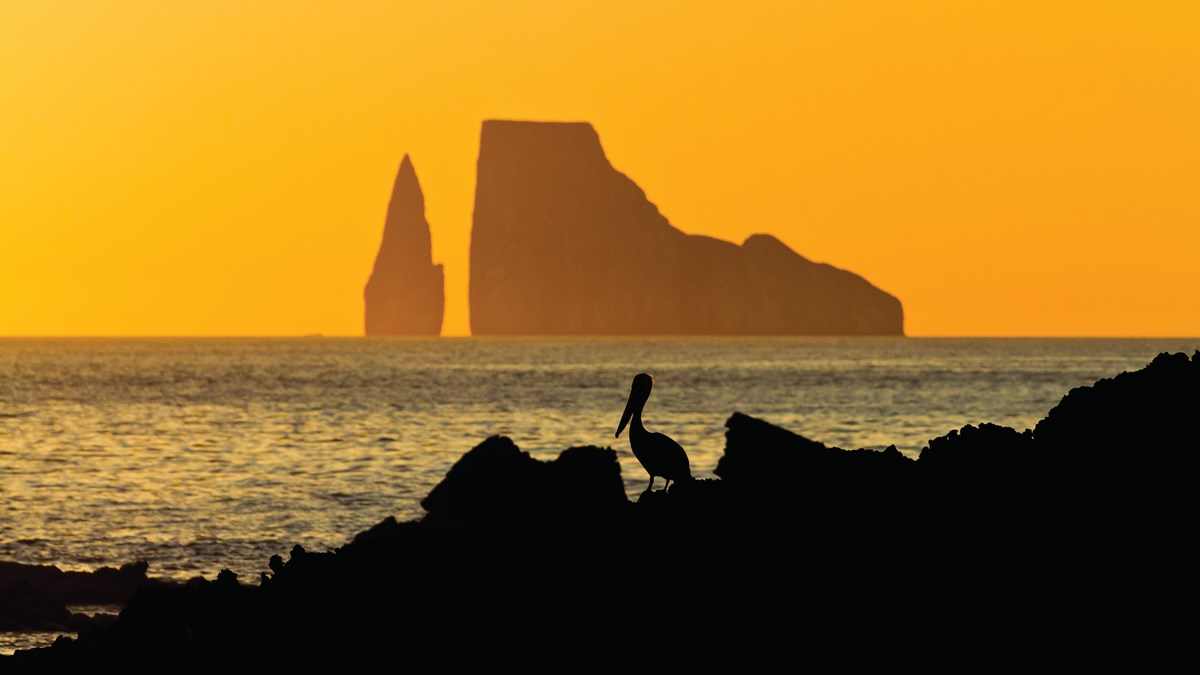 GALAPAGOS NOVEMBER 2022 intelligence overview