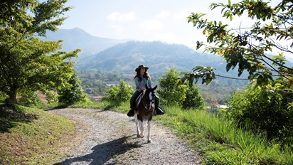 Perez Zeledón, Costa Rica, Travel Guide