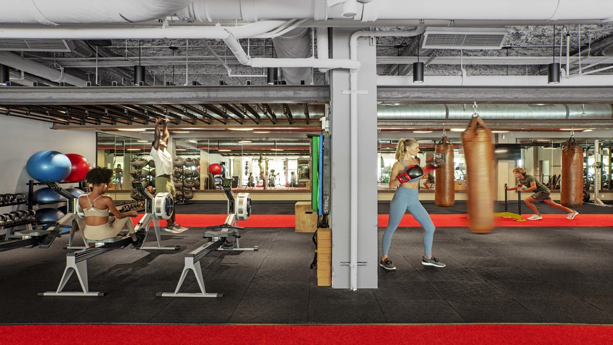 Anatomy Gym