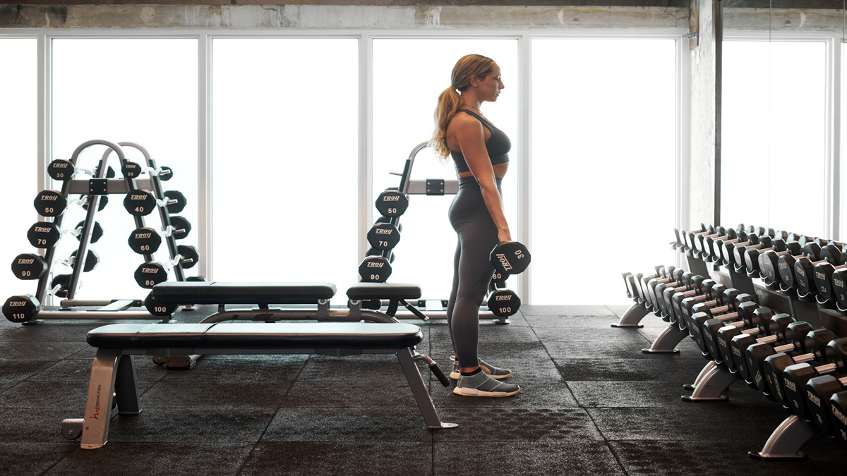 Anatomy Gym