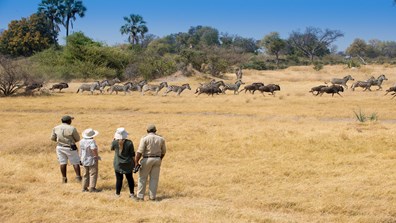 2025 Botswana and Victoria Falls Safari
