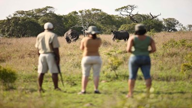 2025 South Africa Family Safari