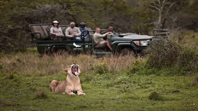 Inspirato Only 2025 Adults South Africa Safari and Winelands