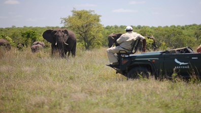 Inspirato Only 2025 Adults South Africa Safari and Winelands
