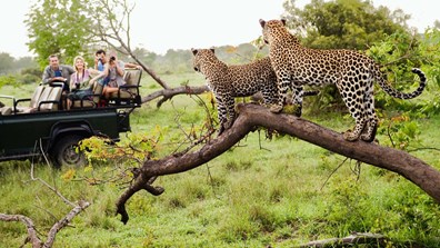Inspirato Only 2025 Adults South Africa Safari and Winelands