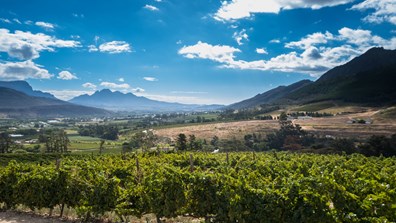 Inspirato Only 2025 Adults South Africa Safari and Winelands