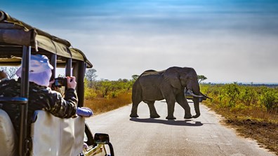 Inspirato Only 2025 Adults South Africa Safari and Winelands