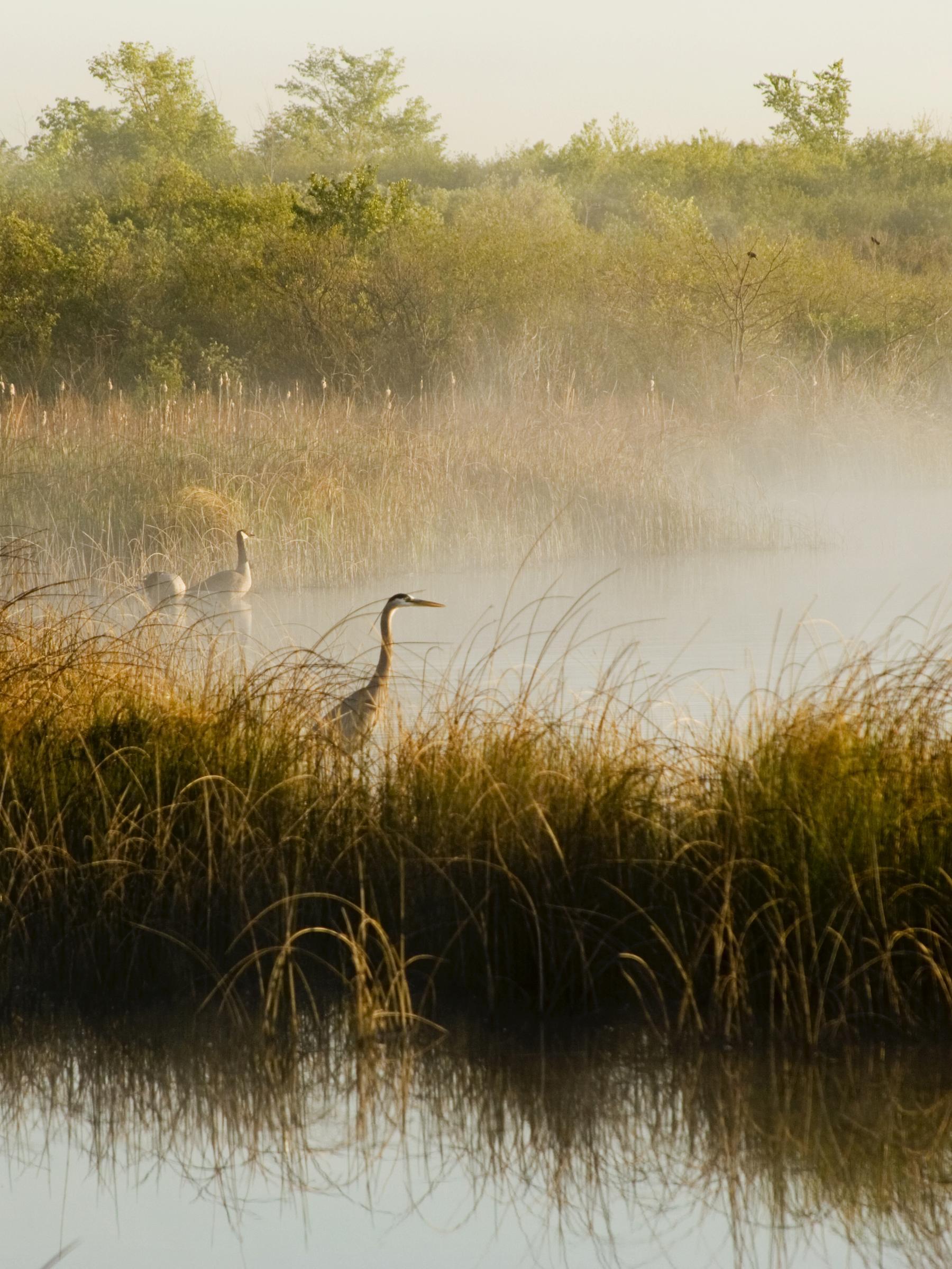 Kiawah Island