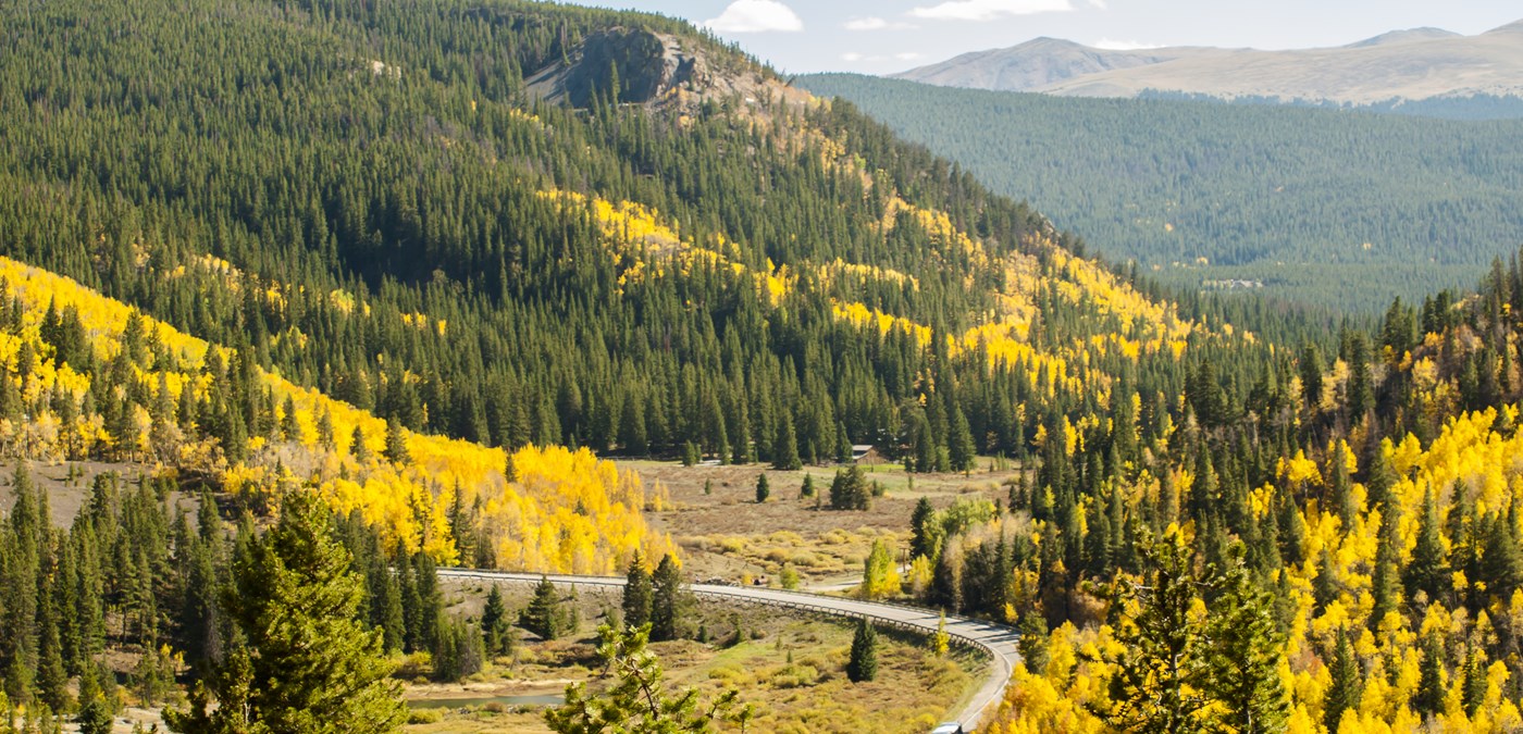 A winding road with a mountainous vista with fall colored leaves