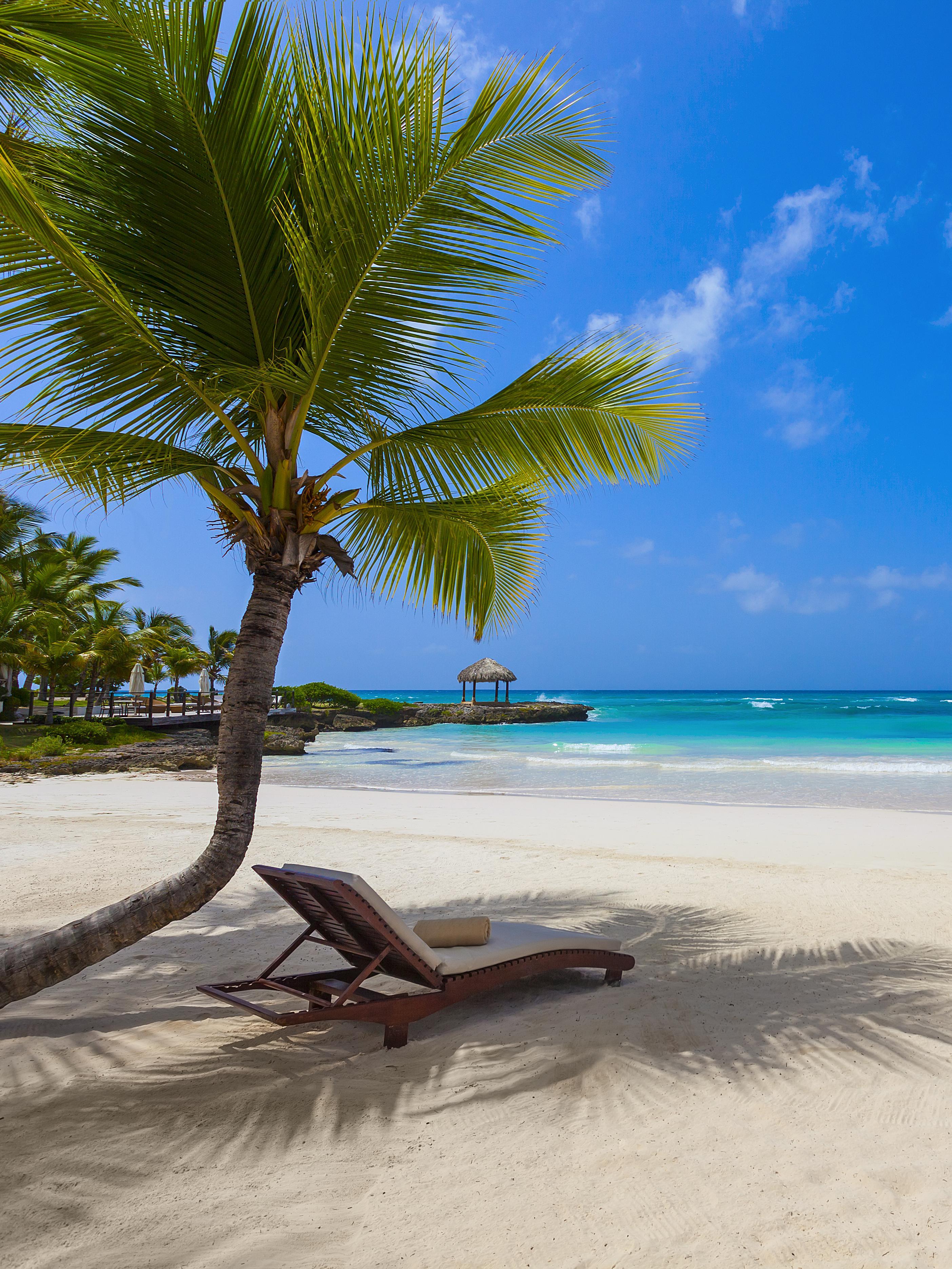 Lounge chair on a sandy beach under a palm tree with views of the ocean