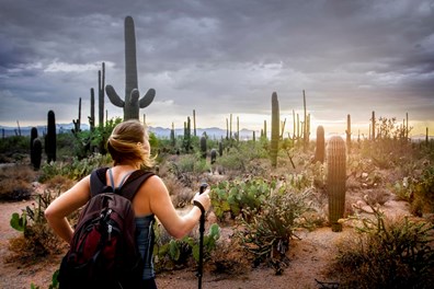 Inspirato IN Only Desert Wellness Retreat Experience