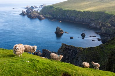 Inspirato Only Iceland and Fjords Yacht Cruise Experience