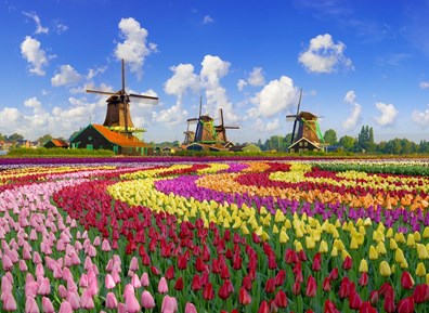 Inspirato IN Only Holland and Belgium at Tulip Time Experience Highlights 