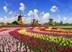 Inspirato IN Only Holland and Belgium at Tulip Time Experience Highlights 