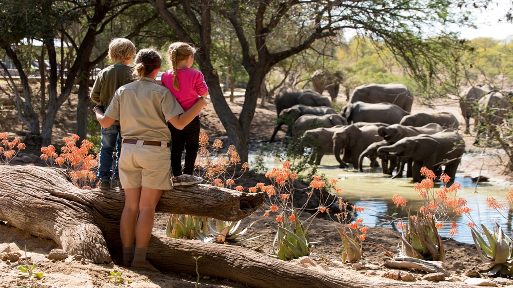 Game Drive
