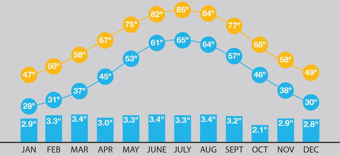 Forecasting your St. Simon Island Vacation