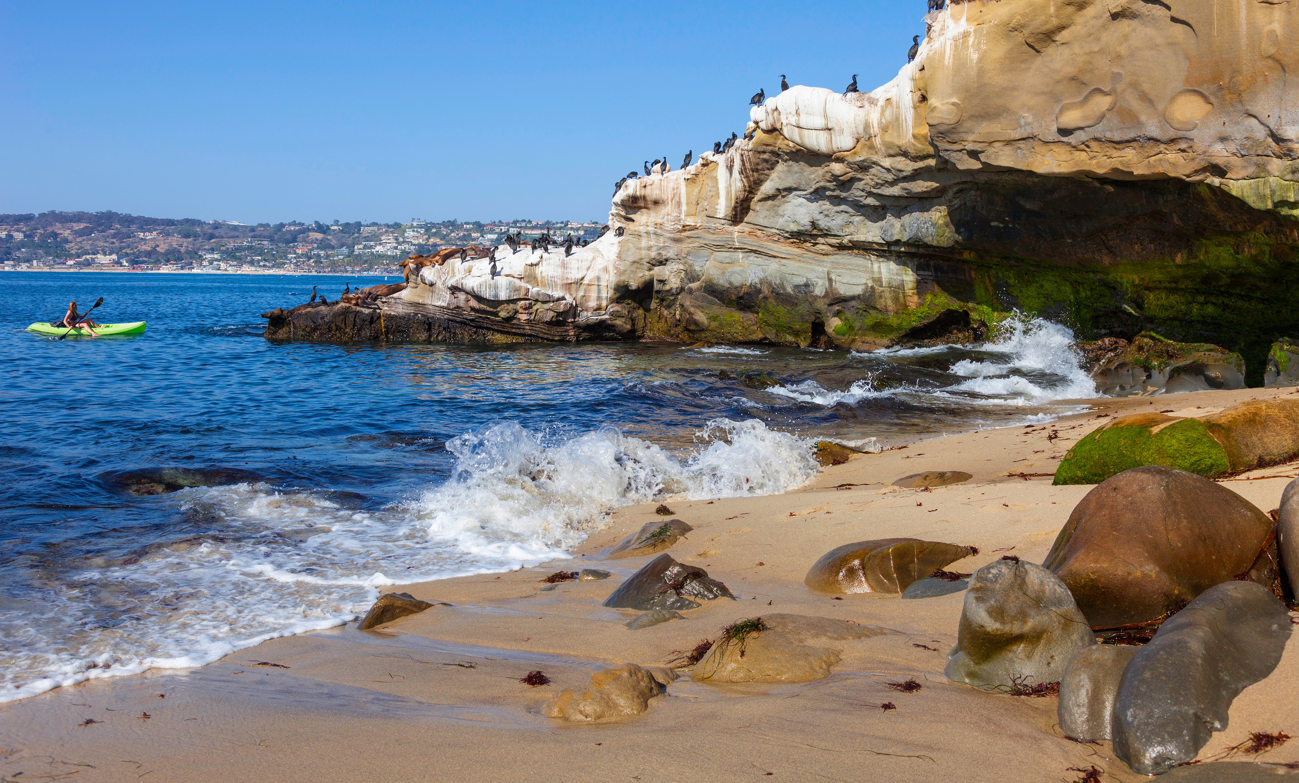Paddle in La Jolla
