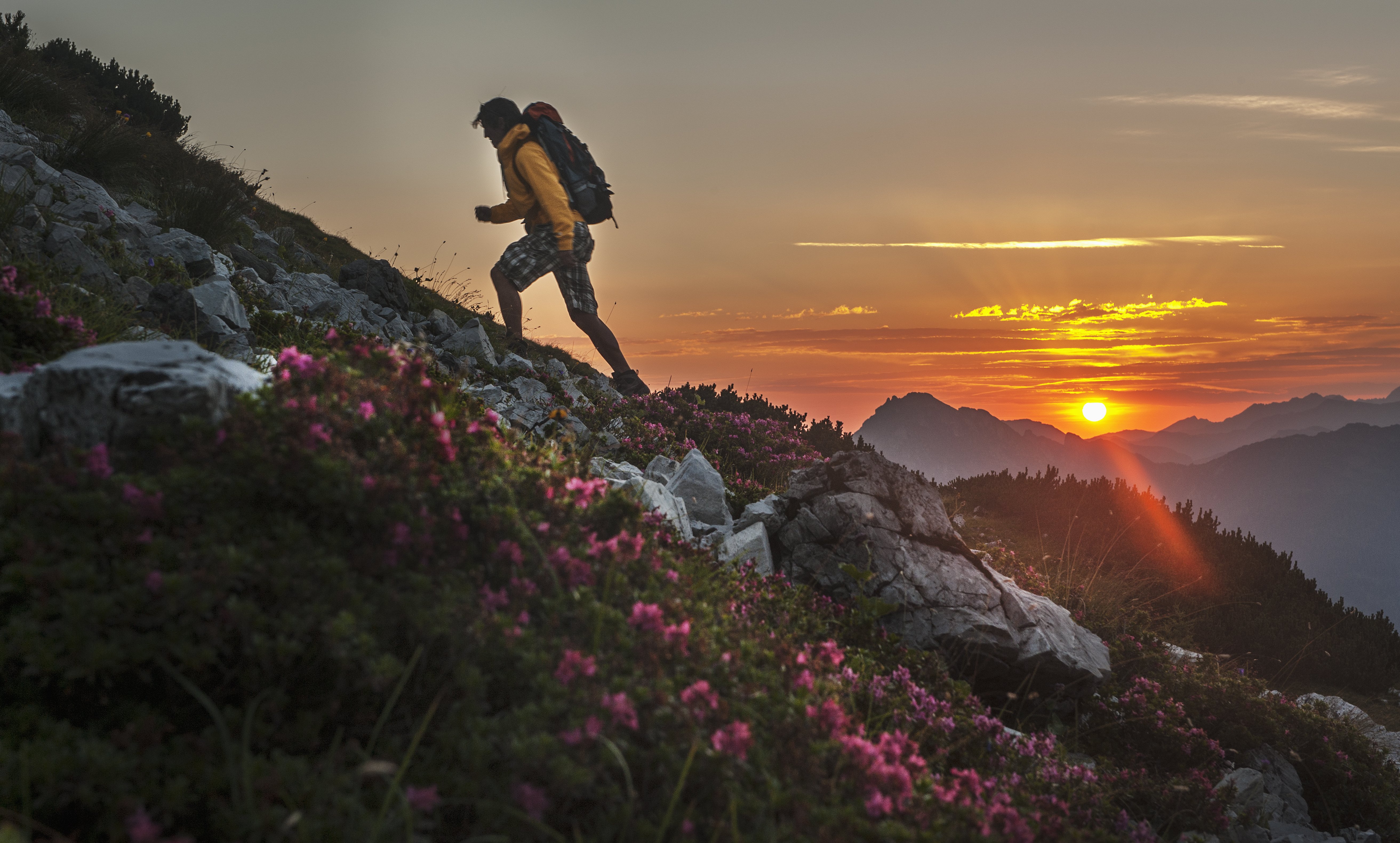 Jud Wiebe Trail