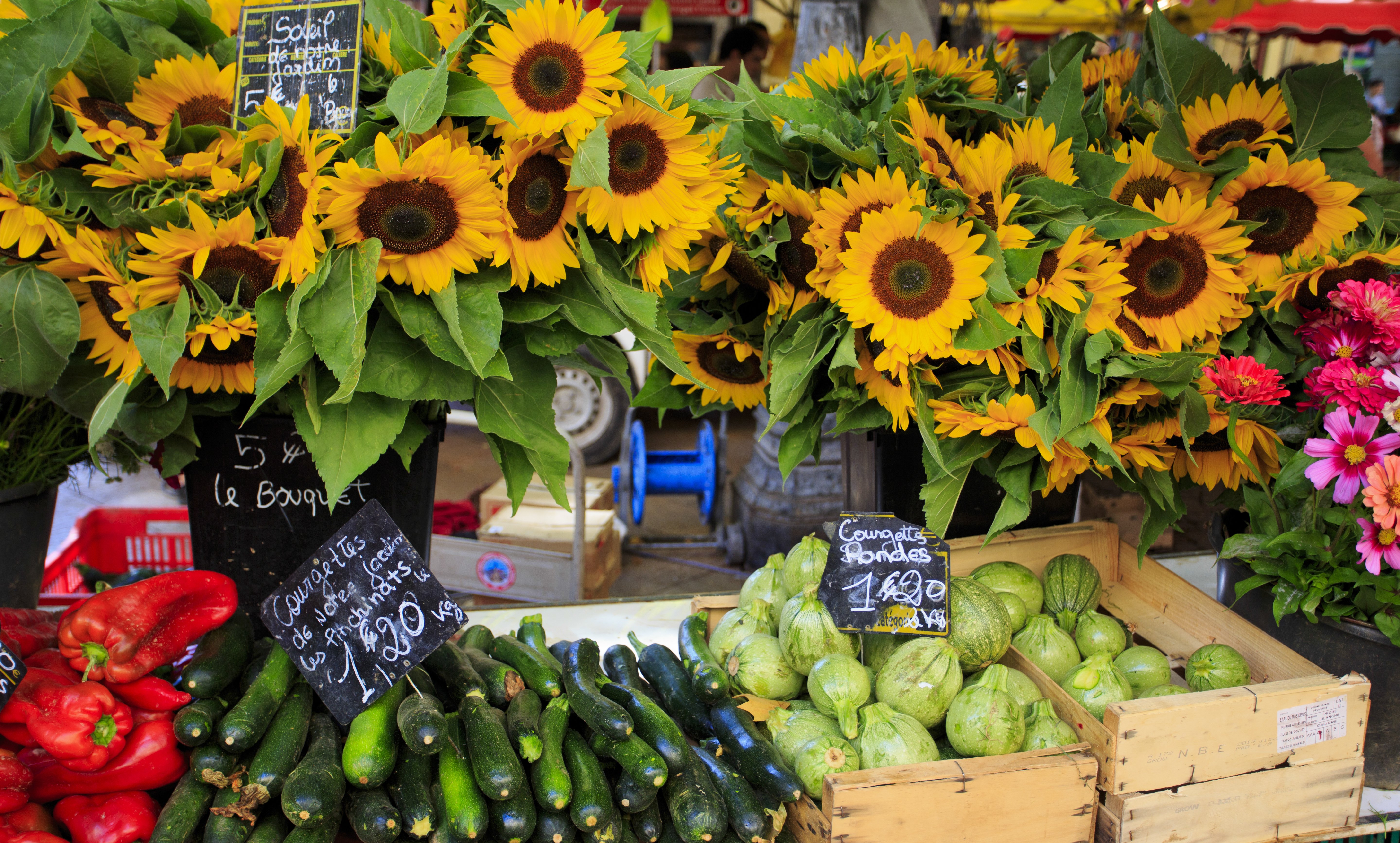 Outdoor Markets