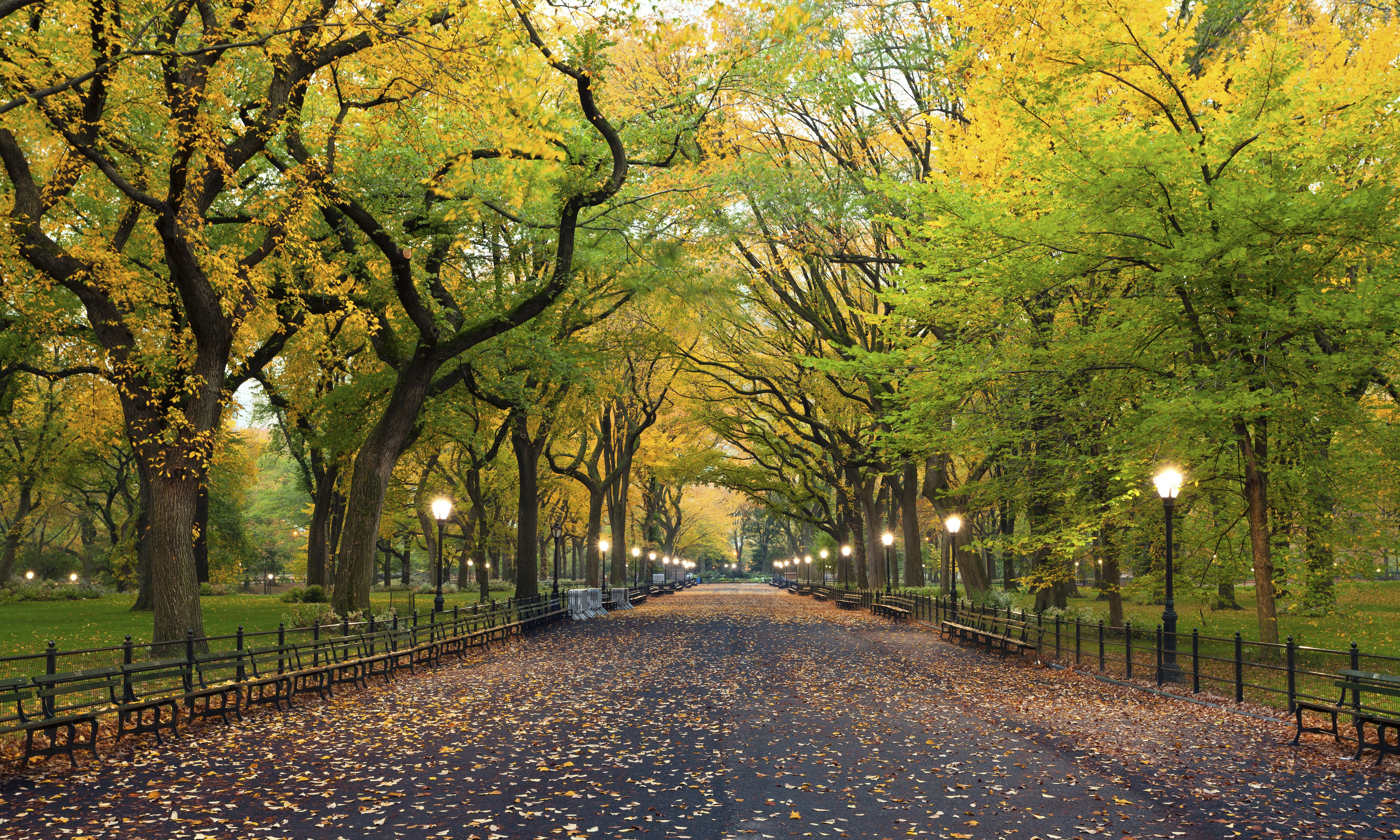 Central Park