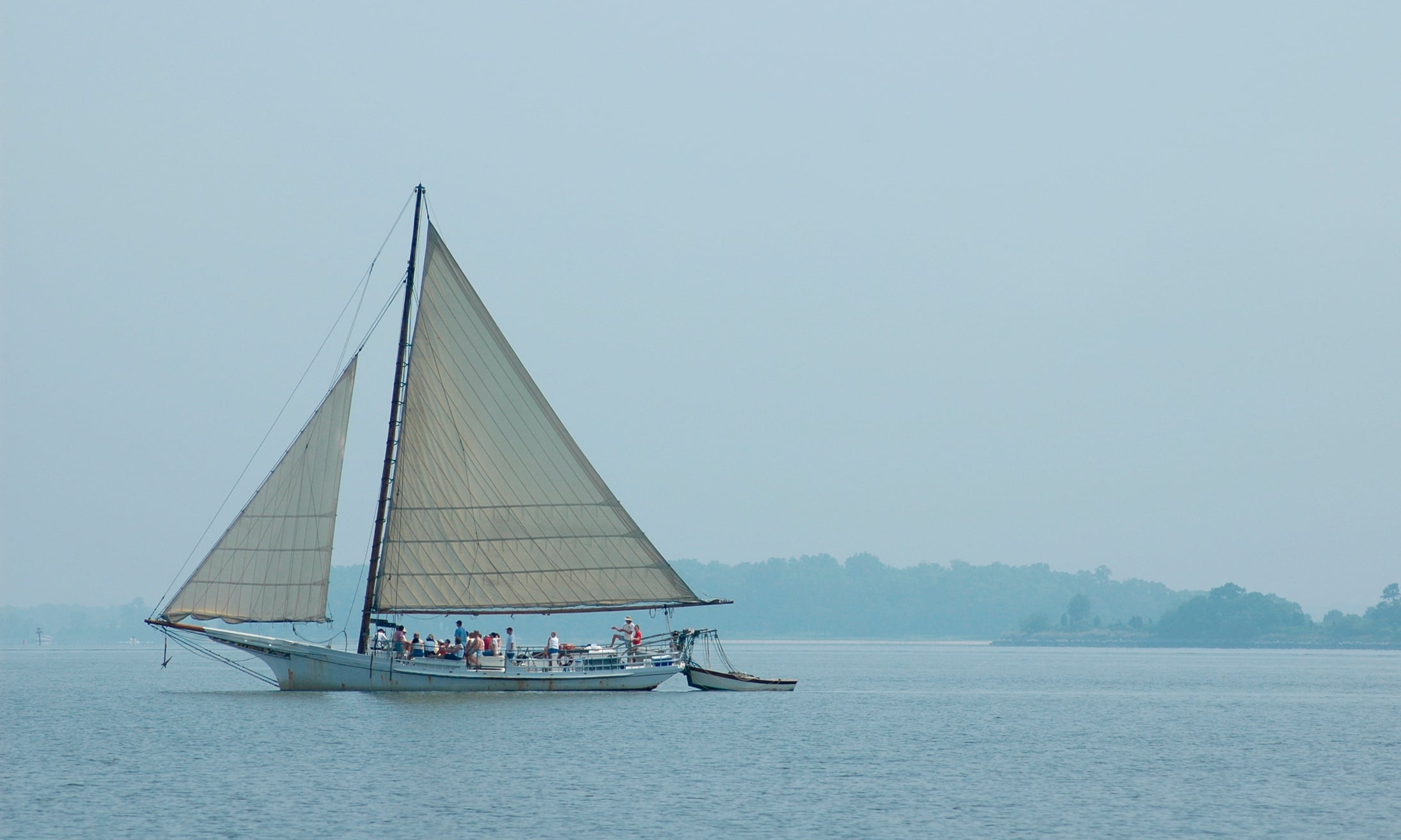 Sail On an Oystercatcher