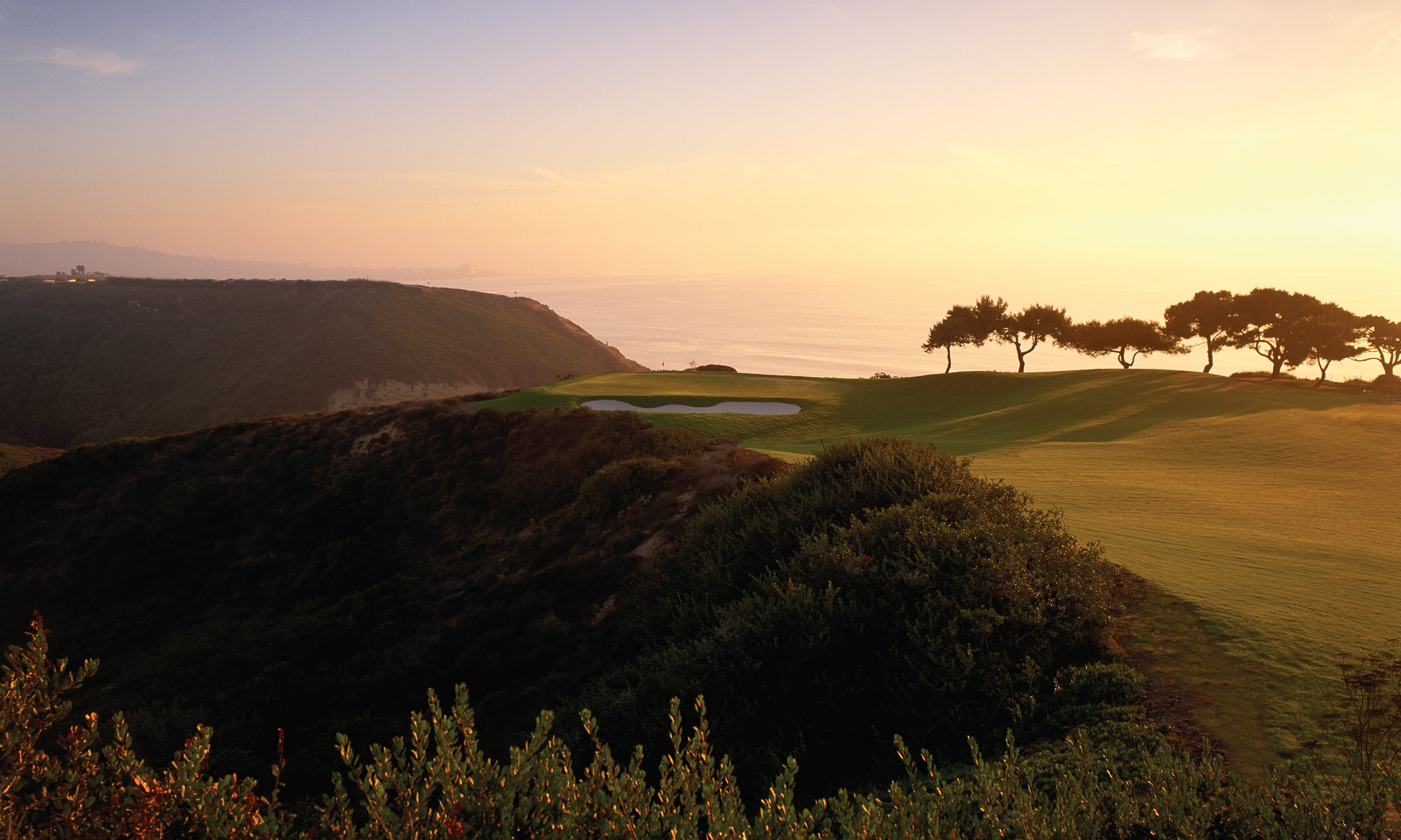 Torrey Pines