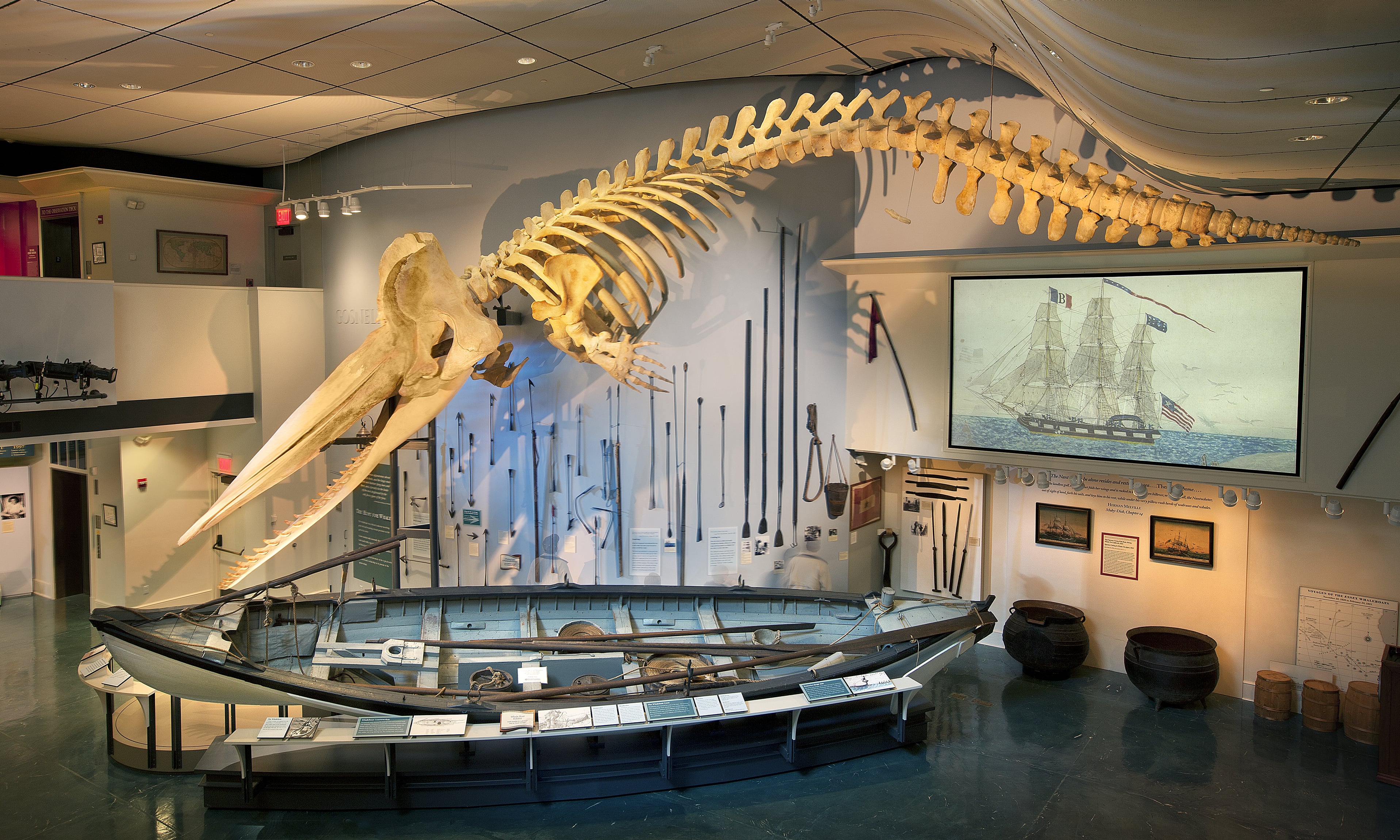 Whaling Museum