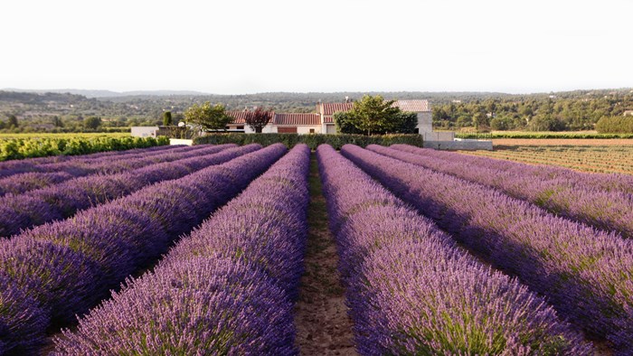 Provence