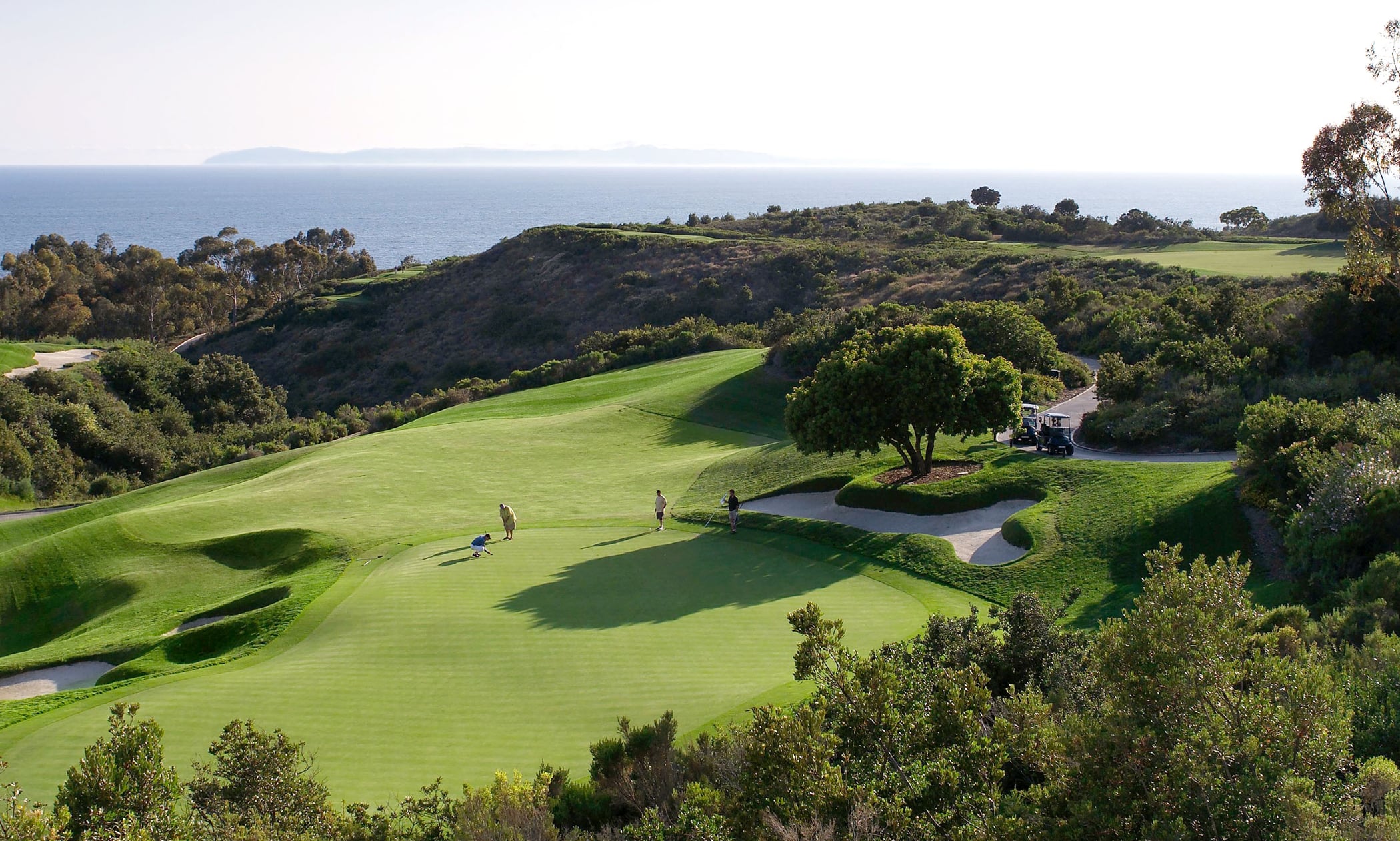 Tom Fazio Golf Courses