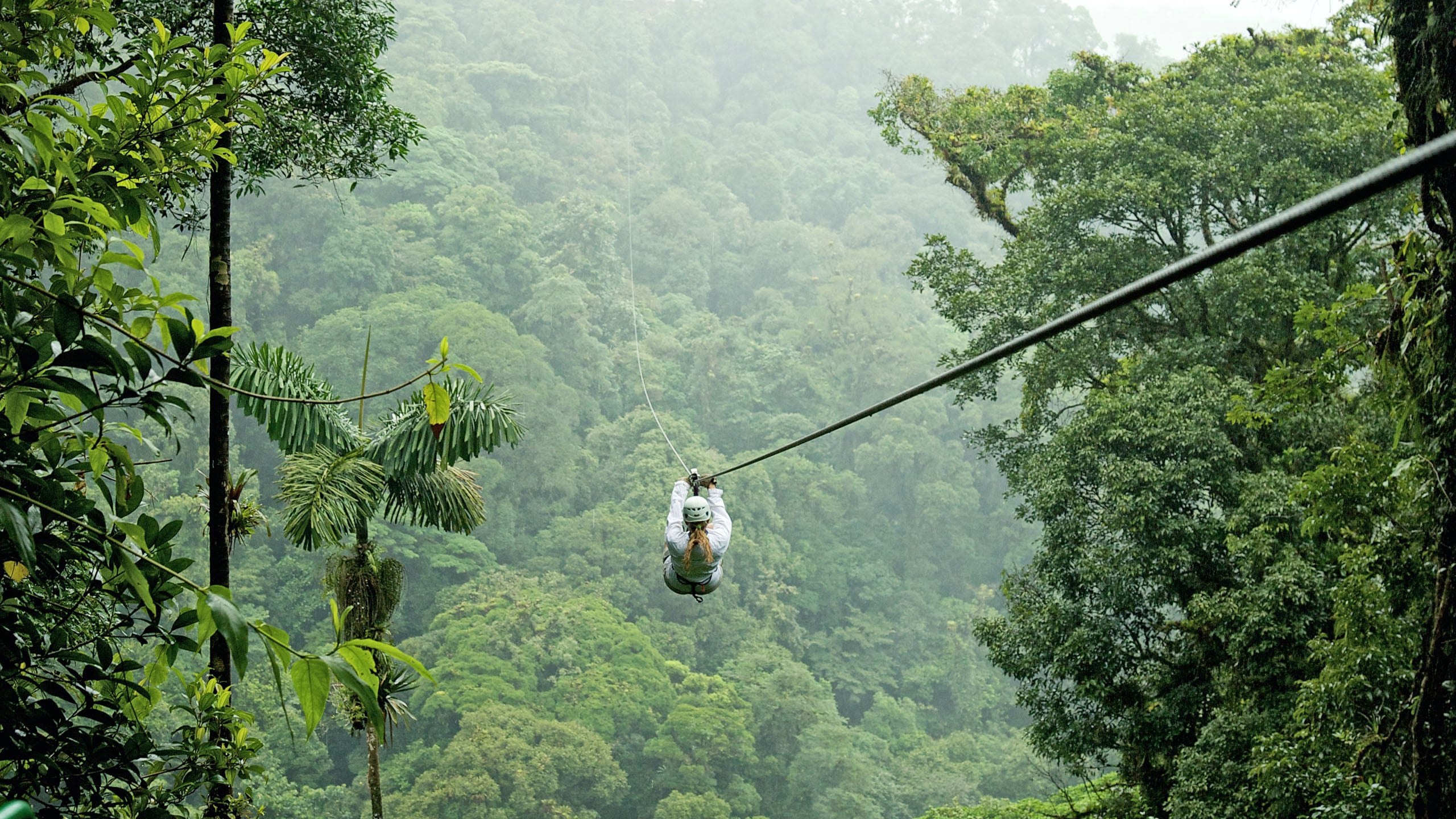 Zip Line Canopy Tours
