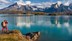 2024 Patagonia Adventure Experience Highlight