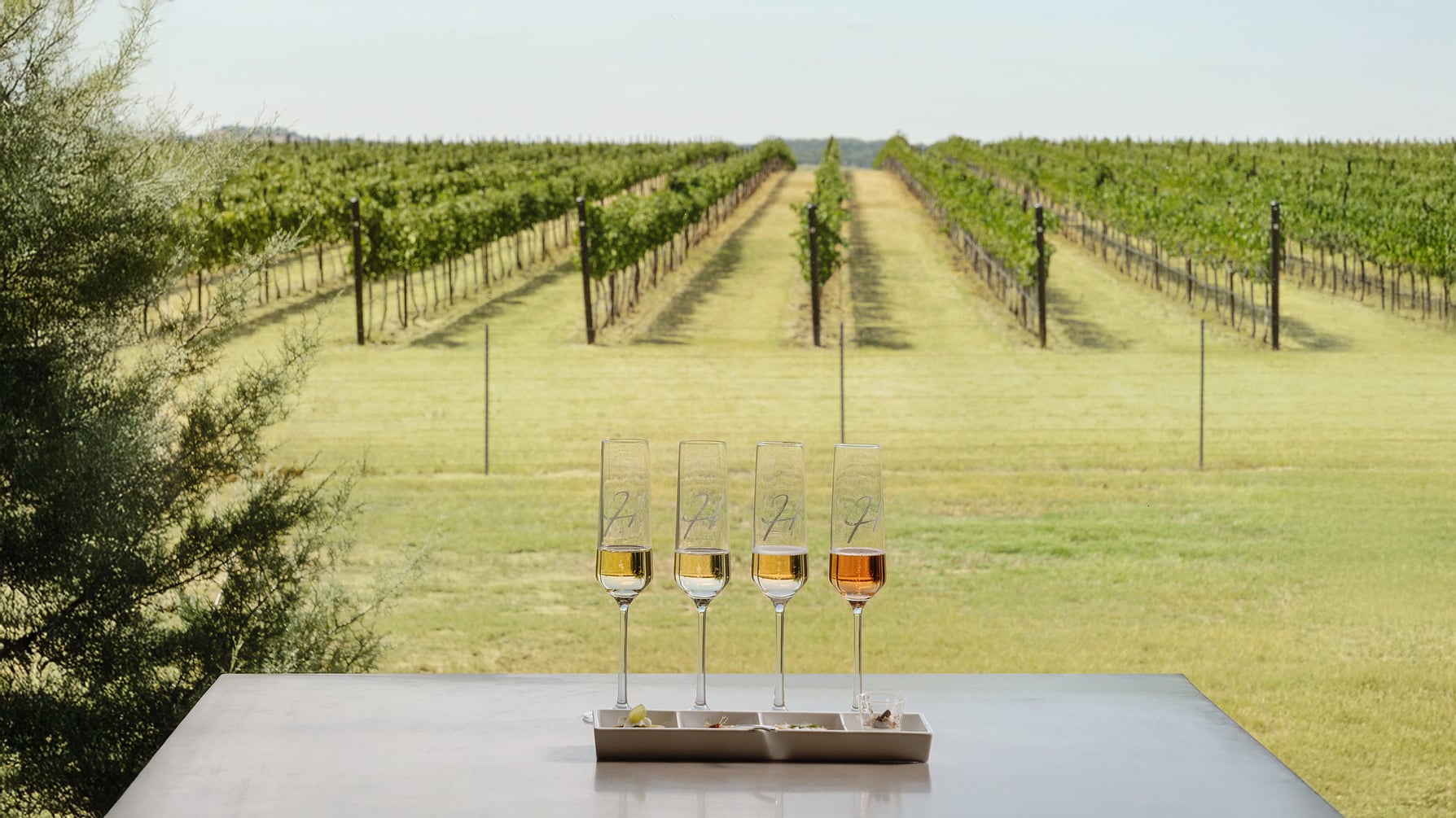 Texas Hill Country wineries