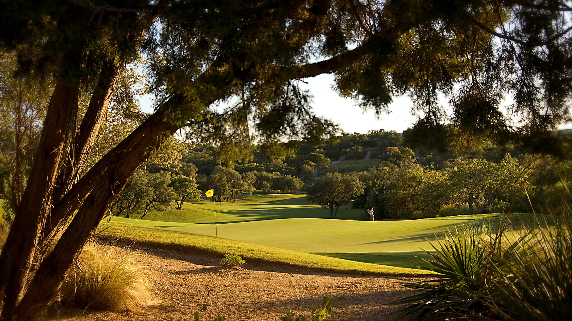 Championship golf